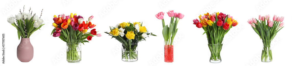 Collage with many beautiful flowers in different vases on white background Collage with many beautiful flowers in different vases on white background