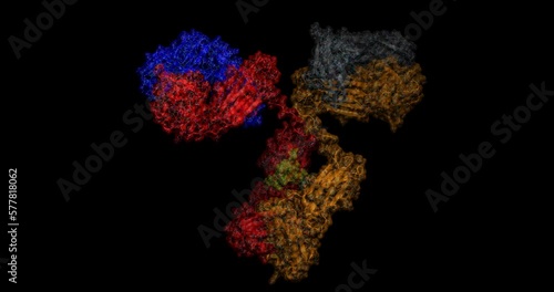 Human antibody / immunoglobulin 3D protein molecule spinning 4K photo