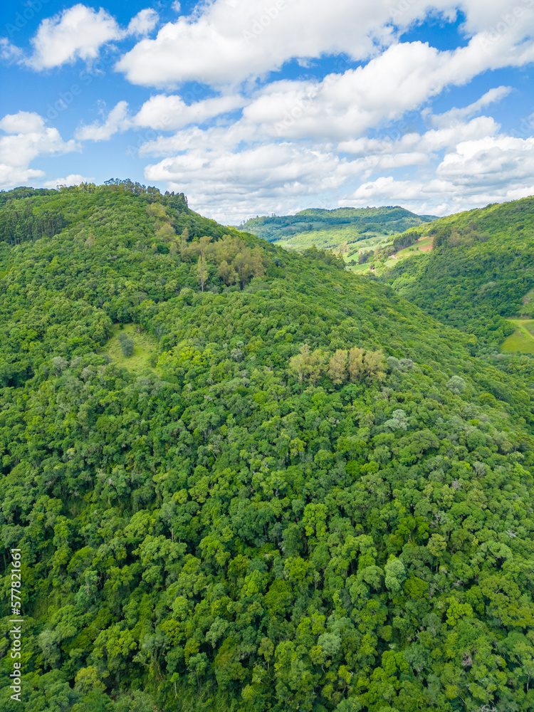 Aerial view of a forest in a valley