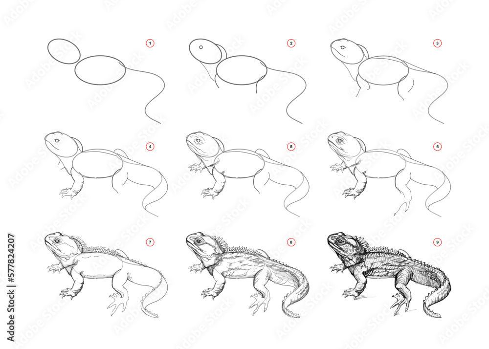 Iguana  Valley Dreams  Drawings  Illustration Animals Birds  Fish  Reptiles  Amphibians Lizards  ArtPal