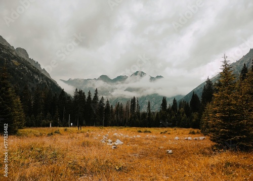 Mountain hide above the clouds - photo from a trip. 