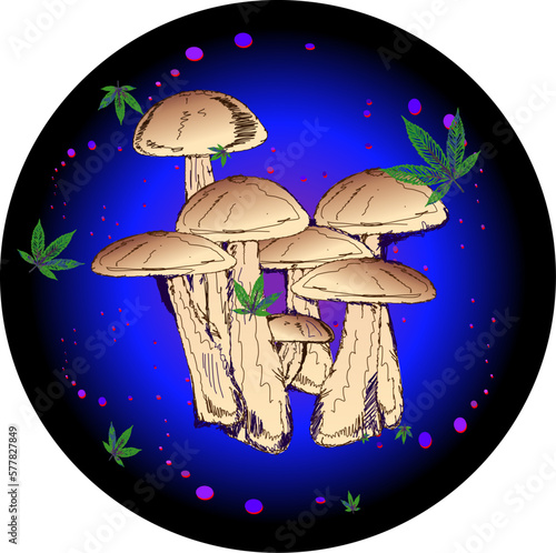 Mushrooms, Pot Leaves in glowing blue bubble