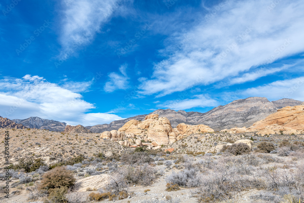 Panoramic Details of Red Rock Canyon’s Rugged Terrain