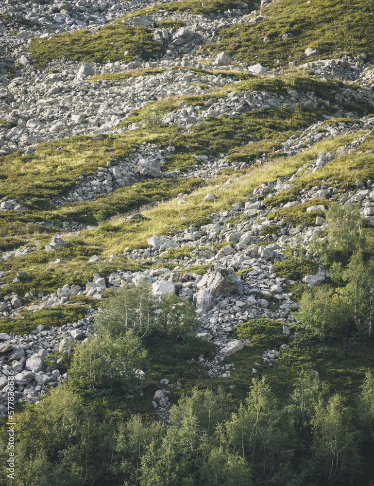 Landscape in the mountains, a slope with vegetation of shrubs and trees and a scree of stones, a hillside in the mountains in the morning Landscape in the mountains, a slope with vegetation of shrubs and trees and a scree of stones, a hillside in the mountains in the morning