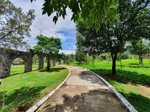 Un día solead en el bosque de Xochimilco en primavera.