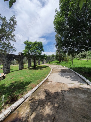 Un día solead en el bosque de Xochimilco en primavera.
