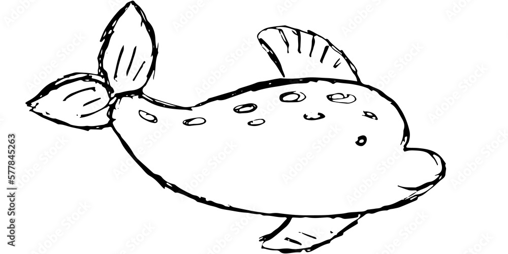 Fototapeta premium Marine animal, life in the ocean