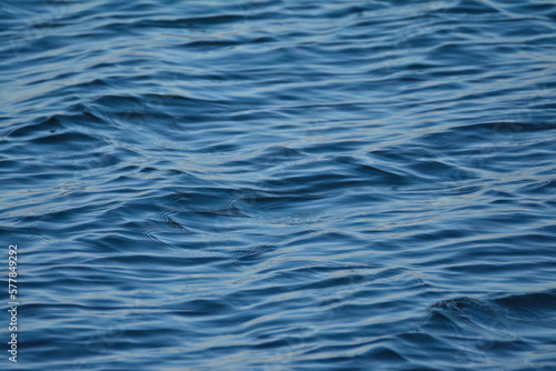 Blue Water Surface - Small Waves