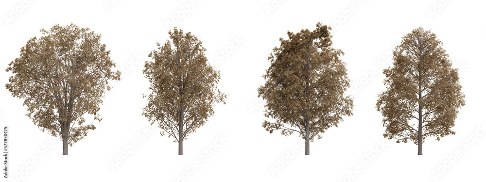 Isolated trees on transparent background.3d rendering PNG Set Stock ...