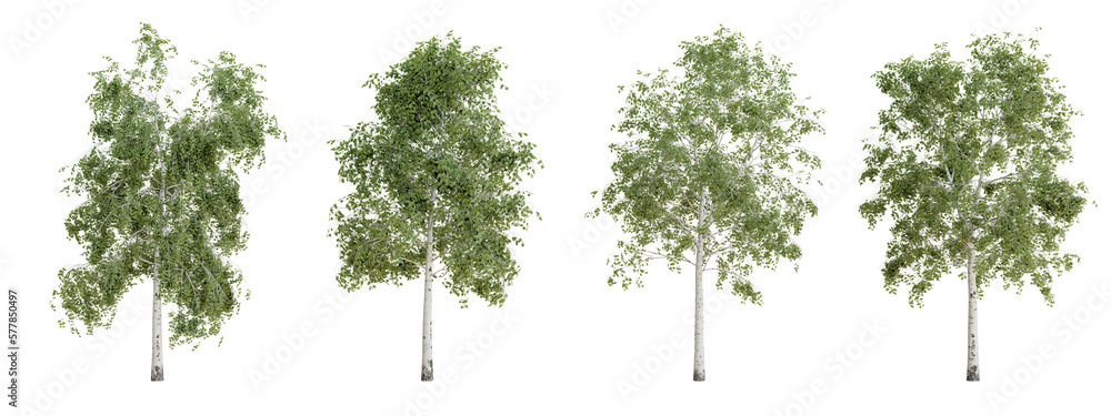 Isolated trees on transparent background.3d rendering PNG Set Stock ...