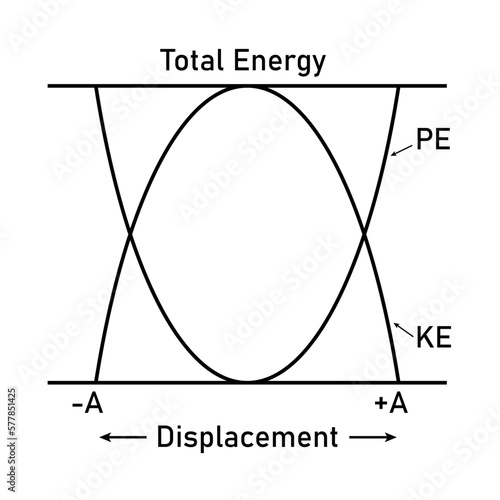Kinetic and potential energy in simple harmonic motion.