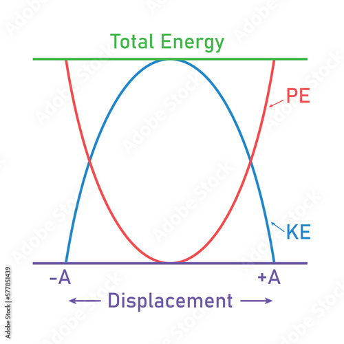 Kinetic and potential energy in simple harmonic motion. Energy changes.