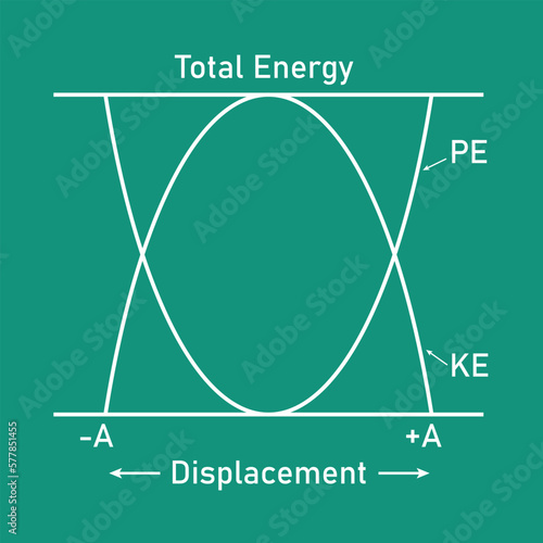 Kinetic and potential energy in simple harmonic motion. Energy changes.