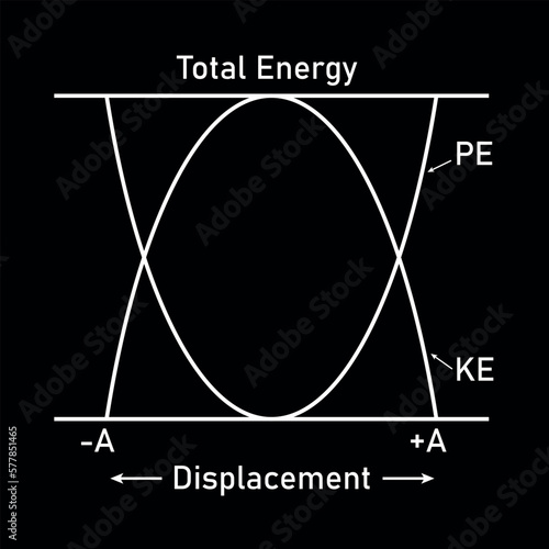 Kinetic and potential energy in simple harmonic motion. Energy changes.