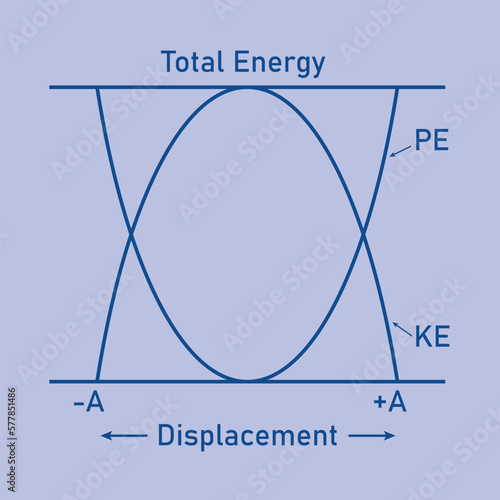 Kinetic and potential energy in simple harmonic motion. Energy changes.