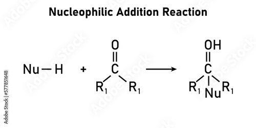 Nucleophilic addition reaction in chemistry.