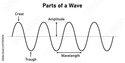 Parts of a transverse wave in physics. The basic properties of waves. Crest, trough, amplitude and wavelength. Vector illustration isolated on white background.