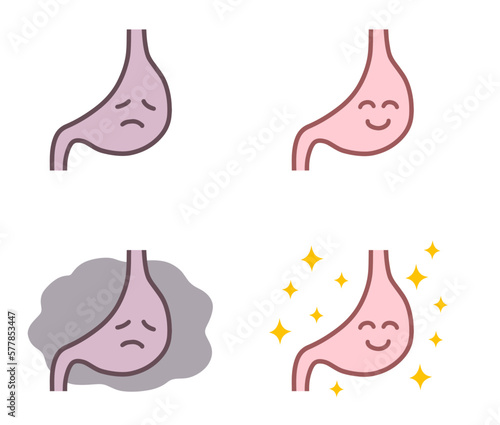 健康な胃と調子の悪い胃のセット