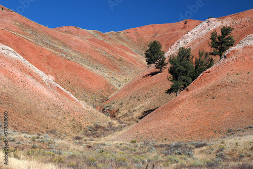 Red Foothills photo