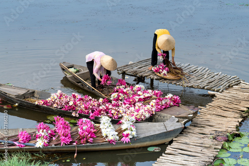 Moc Hoa District, Long An Province, Vietnam - people boating on lakes harvest water lilies, the people of this region used water lilies do as a vegetable dish photo