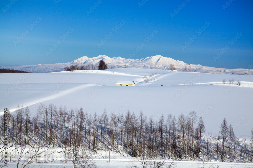 雪原と旭岳（美瑛）