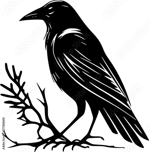 Crow | Black and White Vector illustration