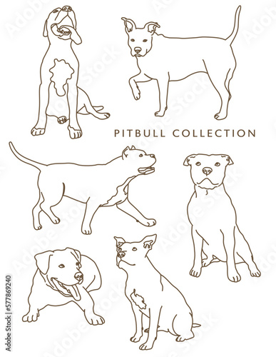 Pitbull Outline Illustrations in Various Poses