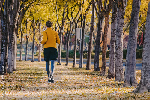 Man running on the quiet street with autumn trees on both sides and yellow leaves on the ground.