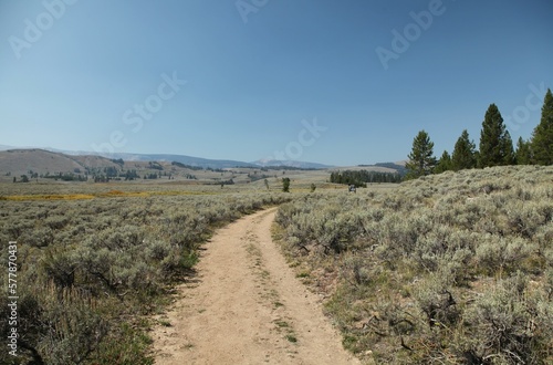 Sportsman Lake Trail in Yellowstone National Park, Wyoming
