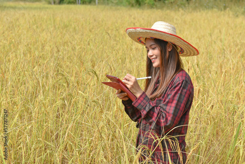 The farmer girl is harvesting rice using technology to manage.