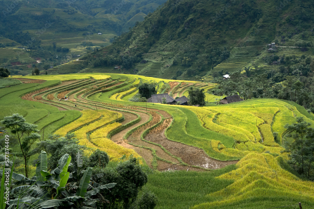 Beautiful terraced rice field in water season at Mu Cang Chai, Yen Bai province in Vietnam. Prepared for rice cultivation