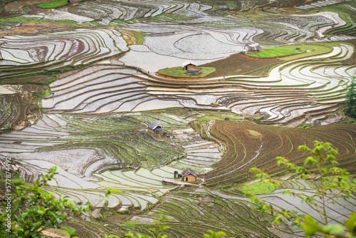Wallpaper Mural Beautiful terraced rice field in water season at Mu Cang Chai, Yen Bai province in Vietnam. Prepared for rice cultivation Torontodigital.ca