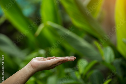 Technology, hand holding with environment  on green background © anan