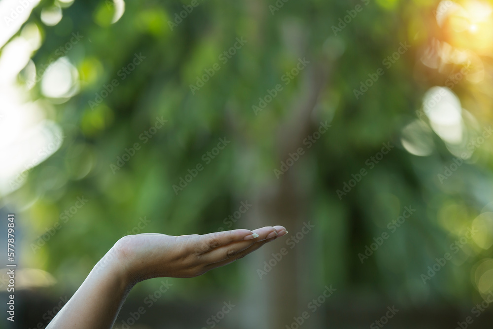 Technology, hand holding with environment on green background Technology, hand holding with environment on green background