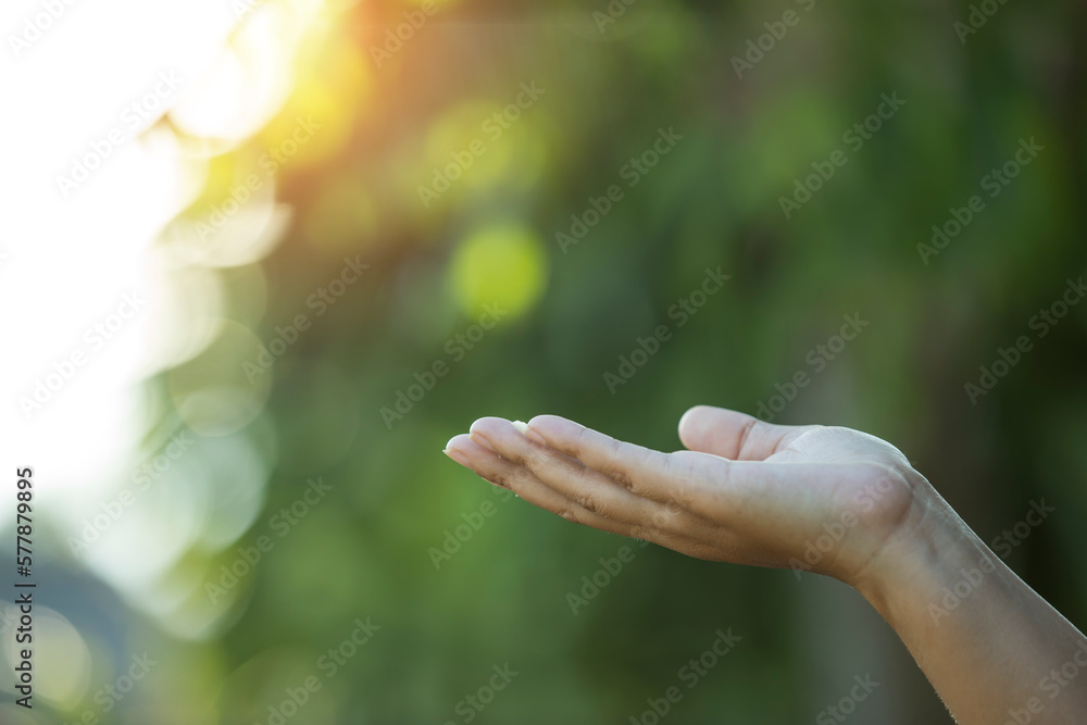 Technology, hand holding with environment  on green background
