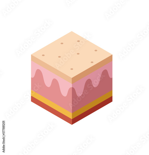 skin tissue, isometric style