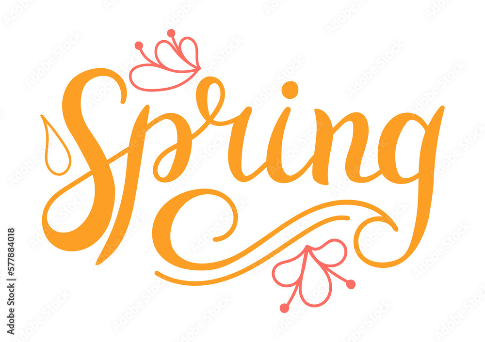 Spring - design hand lettering. Inscription on white background. Spring - design hand lettering. Inscription on white background.