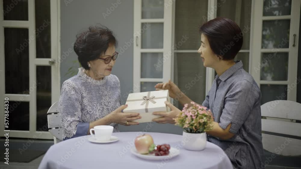 Adult daughter gives a gift to mother on the mothers day. Adult daughter gives a gift to mother on the mothers day.