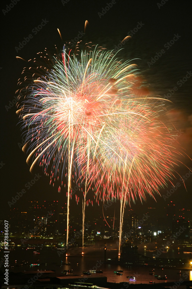 東京湾大華火祭 in 2013
