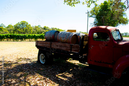 Vineyard - Margaret River - Australia
