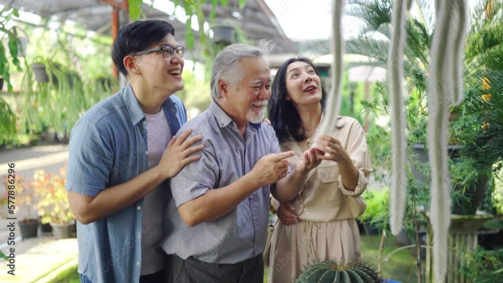 Adult Asian couple and elderly man father walking and choosing cactus at plant shop street market on summer vacation. Family relationship, fathers day and senior people mental health care concept. Adult Asian couple and elderly man father walking and choosing cactus at plant shop street market on summer vacation. Family relationship, fathers day and senior people mental health care concept.