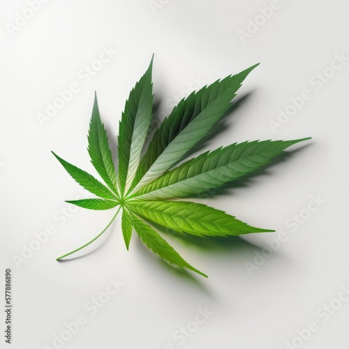 leaf of hemp, ai generated