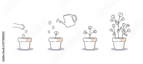 How to grown plants instruction. Minimalist set of icons about planting and plant growth process. From seeding to result.