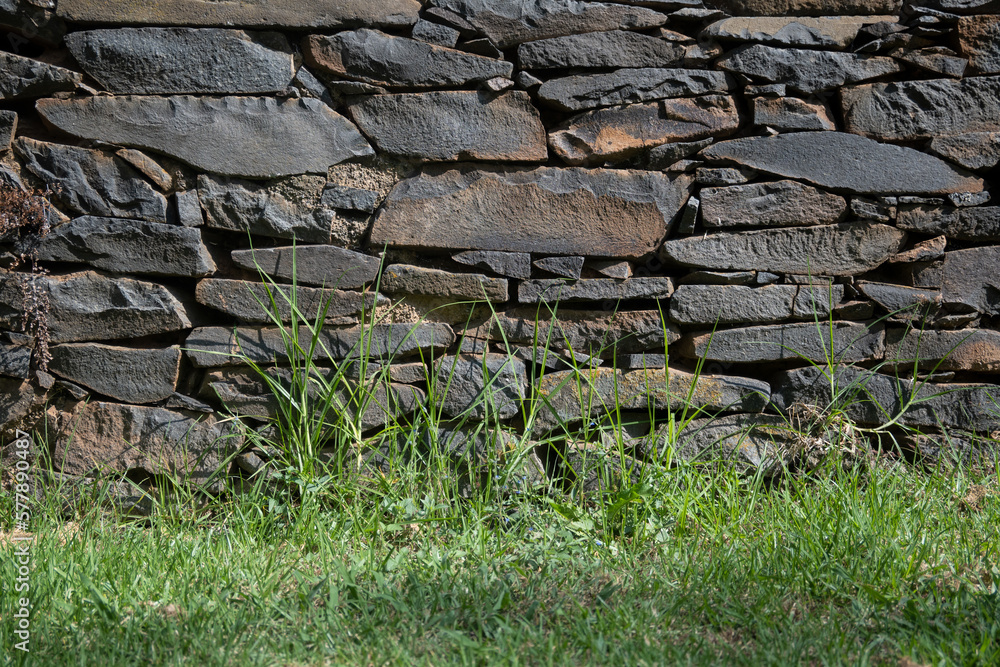 Muro Prehispánico