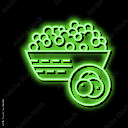 som groat neon glow icon illustration