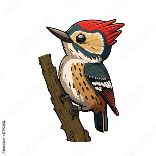 cute woodpecker cartoon style photo