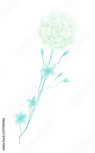 Isolated softness teal blue floral design elements. Light green flower and blue small flowers on white background. Watercolor painting softness flowers.