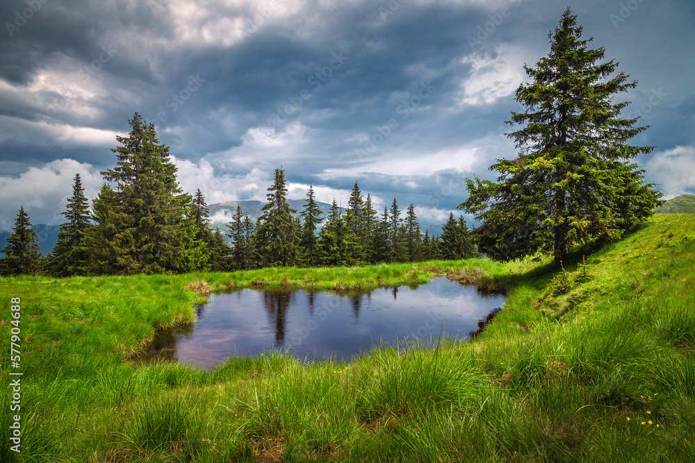 Small lake on the green forest glade at rainy day