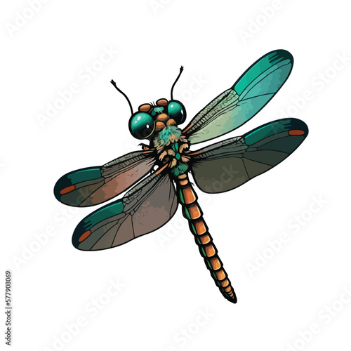 cute dragonfly cartoon style