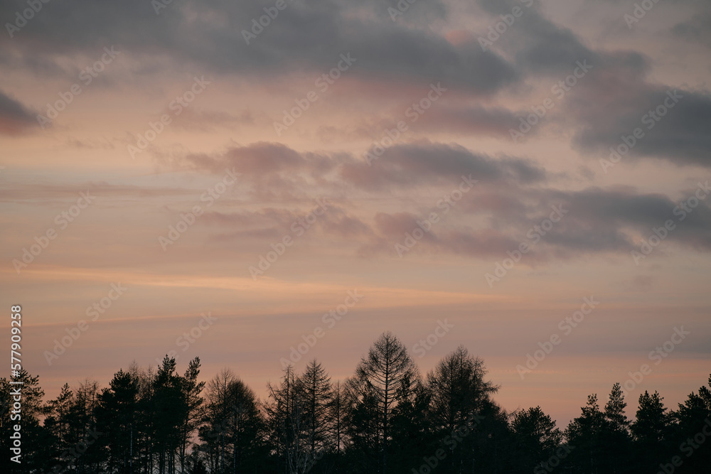 Evening sky. Natural texture background.